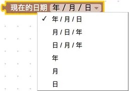 日期選項