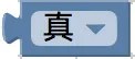 真或否積木