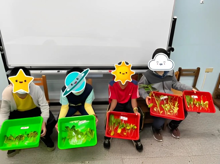 智慧植栽系統打造 AI 科技菜園，台中國安國小奪科展佳作